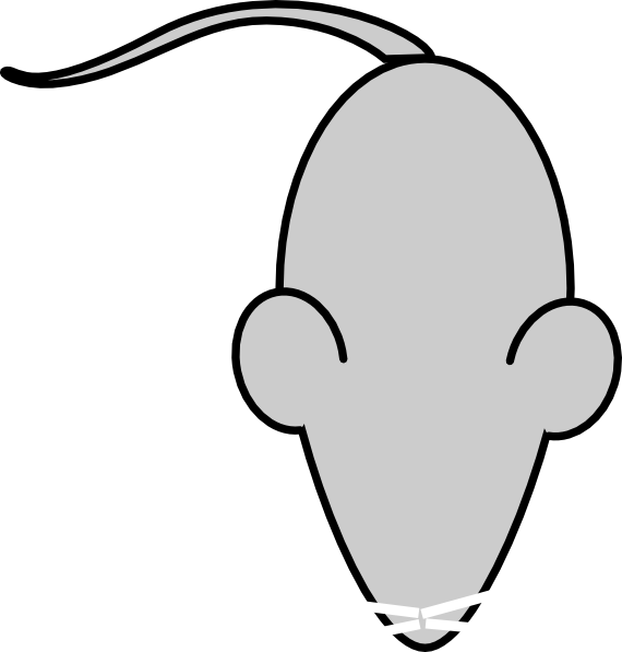 How To Set Use Lab Mouse Template2 Clipart - Png Download (570x597), Png Download