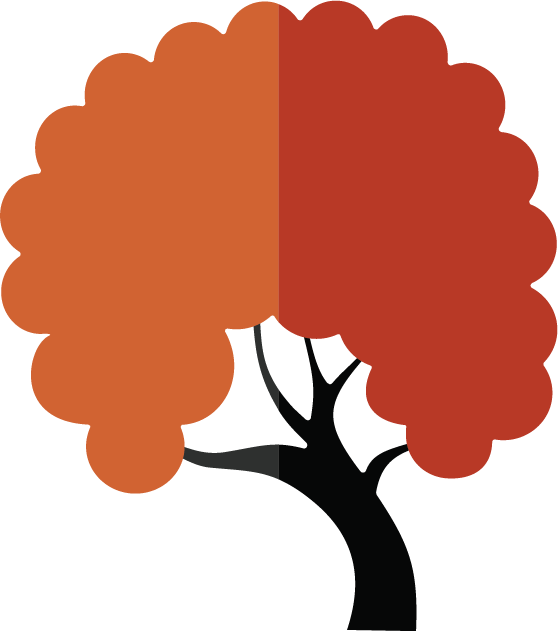 Dori Northeville Ny - Tree Clipart (558x631), Png Download