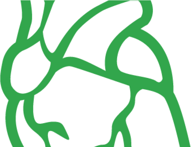 Vision Clipart Eye Donation - Png Download (640x480), Png Download