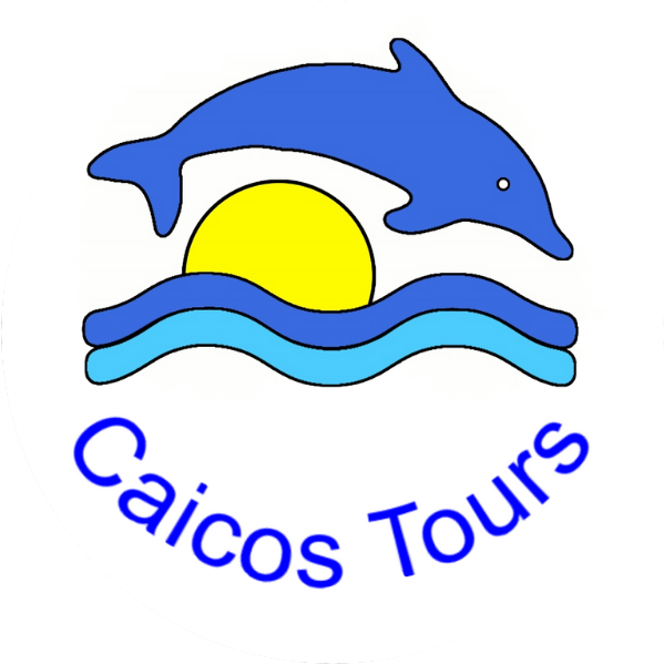 Our Adventures - Circle Clipart (620x650), Png Download