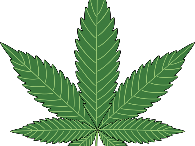 Marijuana Clipart Easy - Hoja De Marihuana Para Dibujar - Png Download (640x480), Png Download