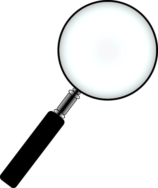 Magnifying Glass 1293096 - Magnifying Glass Clipart (538x640), Png Download