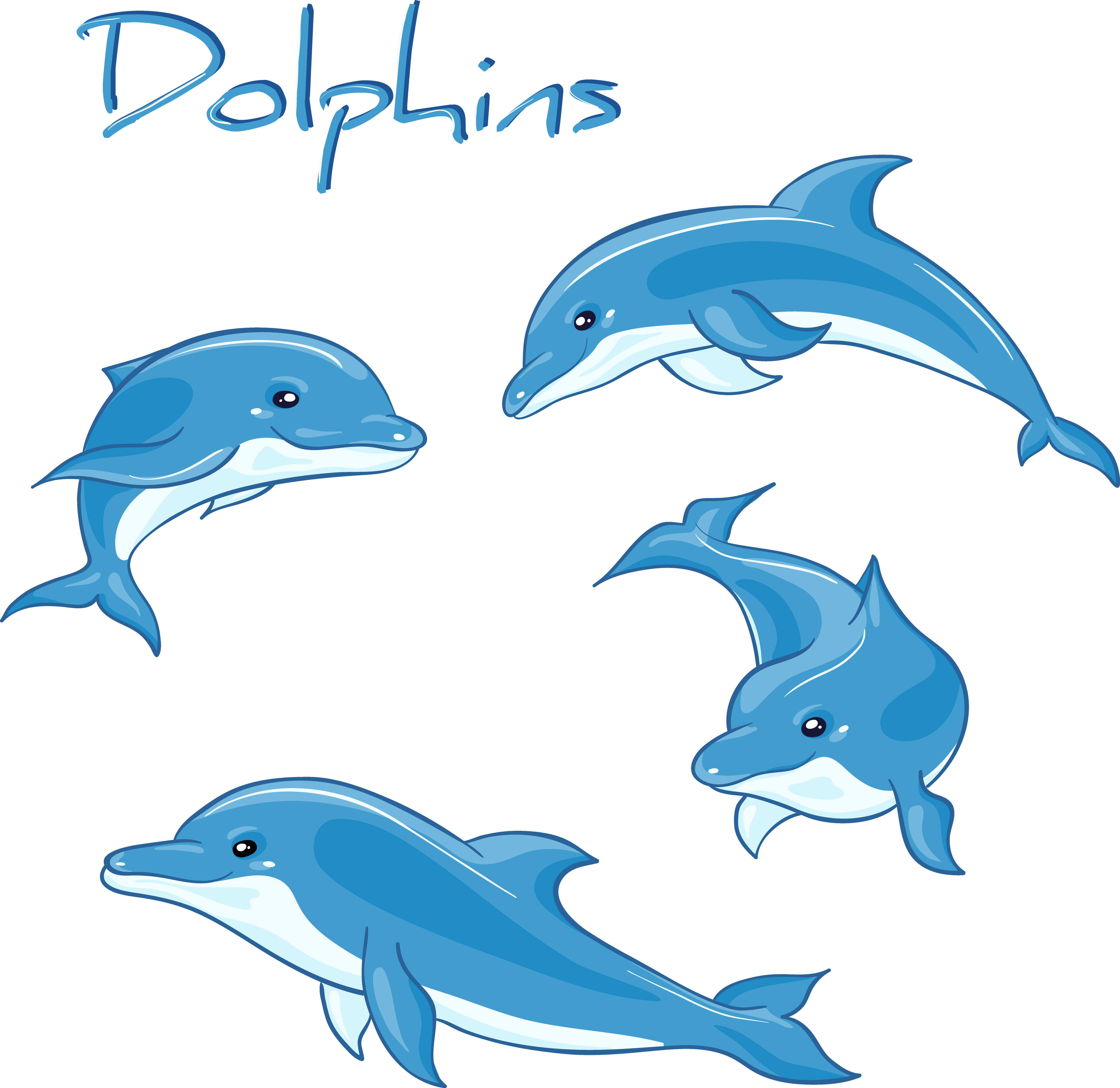 Biology Drawing Decoration - Dolphins Cartoon Clipart (4608x4477), Png Download