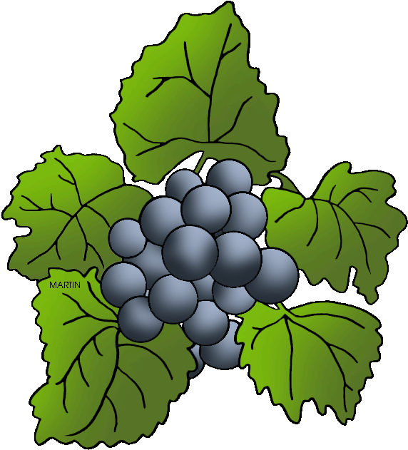 Missouri State Grape - Grape Clipart (625x648), Png Download