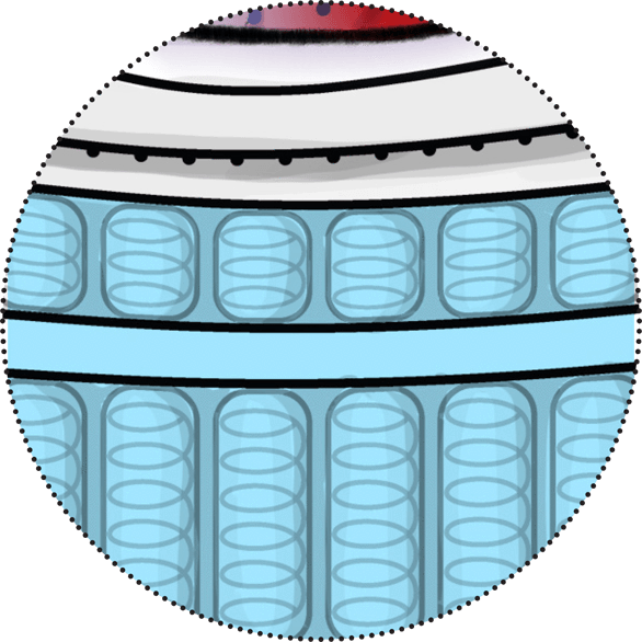 1 - Circle Clipart (586x586), Png Download