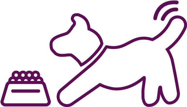 Witness Their Pets Enjoy Their Food Clipart (726x425), Png Download