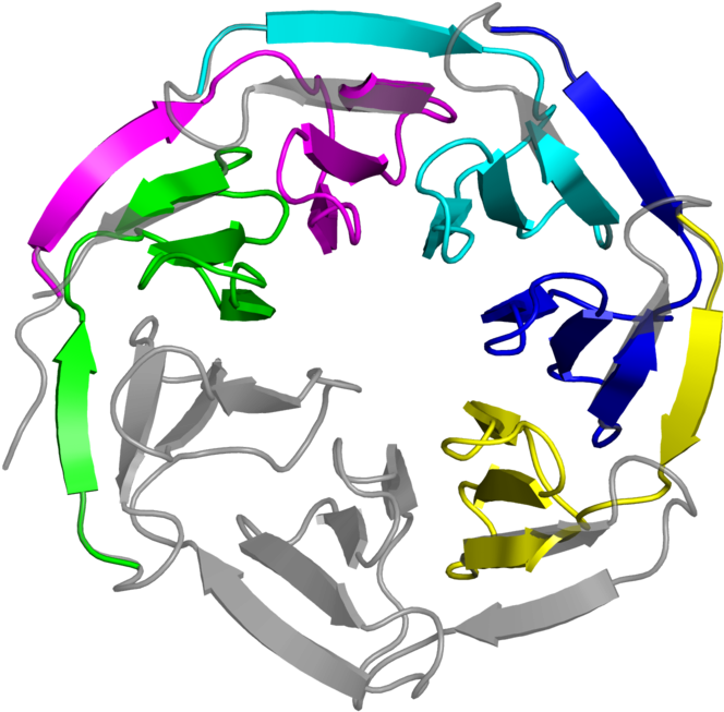 Graphic Design Clipart (800x800), Png Download