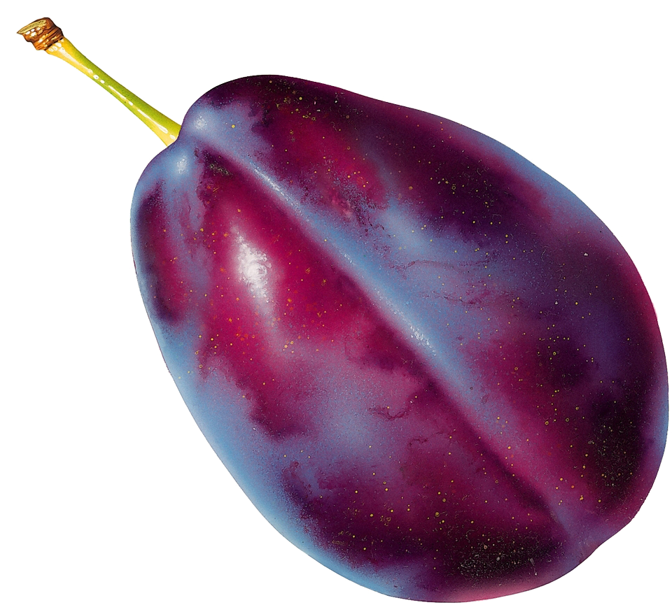 Blackberry Clip Art Cartoon Food Image D - Plum Transparent Background - Png Download (1000x887), Png Download