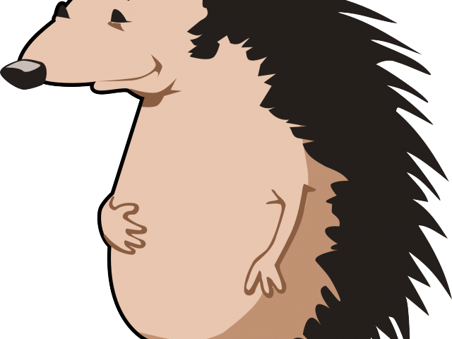 Porcupine Clipart Transparent - Png Download (640x480), Png Download