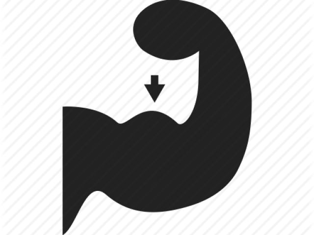 Bodybuilding Clipart Body Energy - Clip Art - Png Download (640x480), Png Download