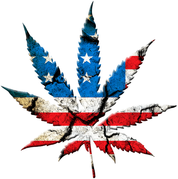 Image Of American Colored Marijuana Leaf For Digital - State Marijuana Legalization: Issues And Effects Clipart (720x720), Png Download