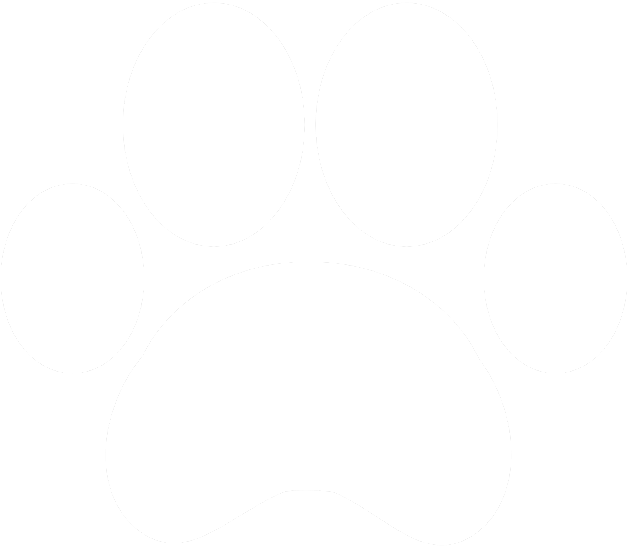 Evaluation And Letter $100 - Dog Years I Would Be 350 T-shirt Funny 50th Birthday Clipart (626x626), Png Download