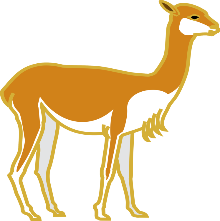 Deer Computer Icons Peru Mammal Drawing - Deer Clipart (747x750), Png Download