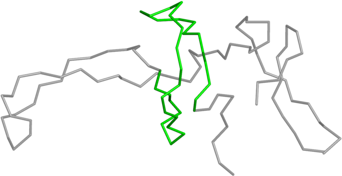 Drawing Clipart (800x800), Png Download