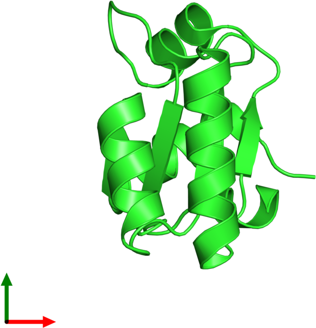 Illustration Clipart (800x800), Png Download