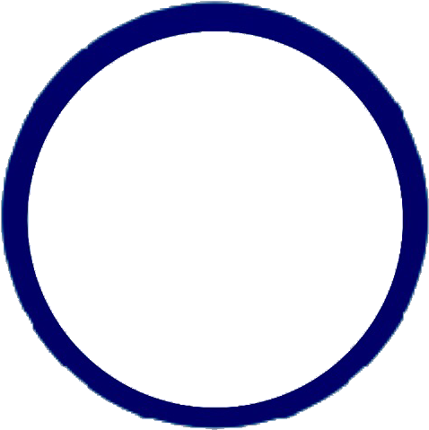 Circle Clipart (554x560), Png Download