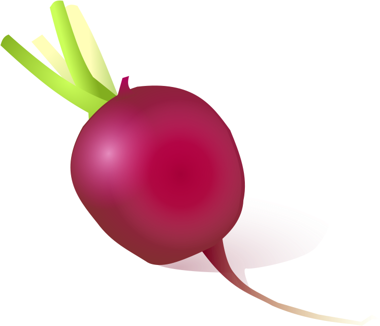Radishes 2 Clip Art Download - Cartoon Radish - Png Download (800x685), Png Download
