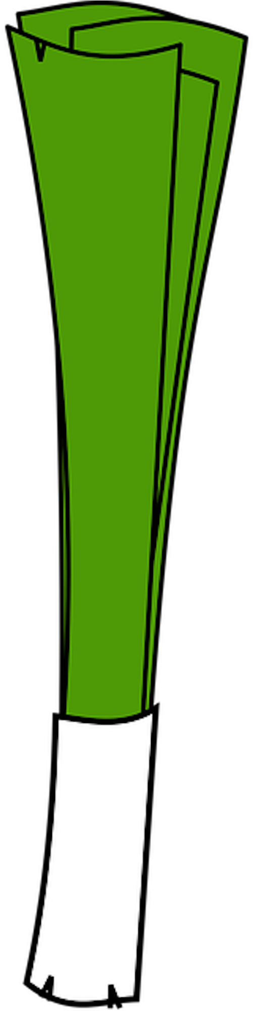 Leek Clipart 3 - Png Download (578x2400), Png Download