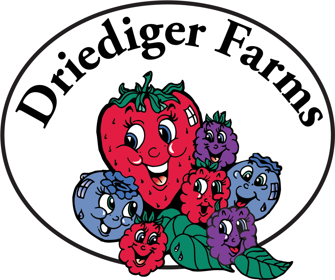 Driediger Farms Offers Clean, Supervised Upick Fields - Okeechobee County Seal Clipart (1145x943), Png Download