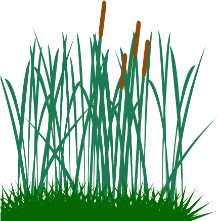 Dry Grass Clipart Tall - Tall Grass Clip Art - Png Download (640x480), Png Download