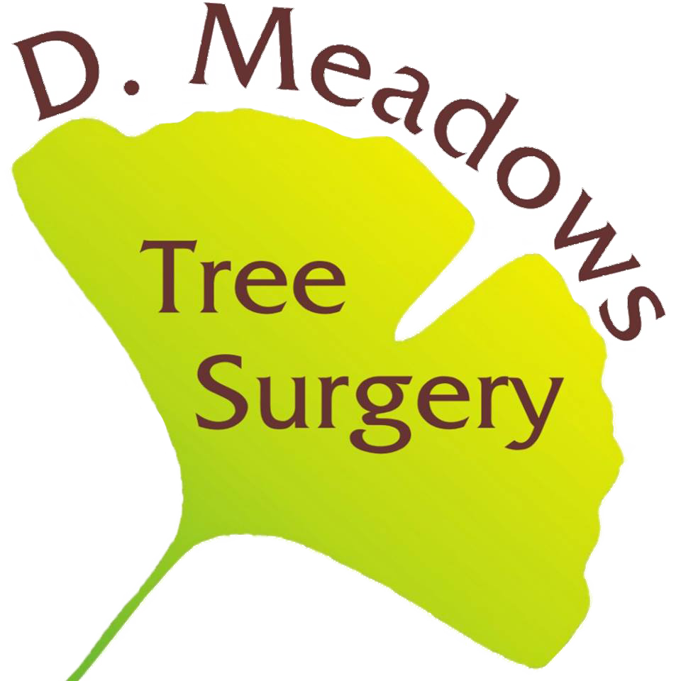 Illustration Clipart (960x960), Png Download