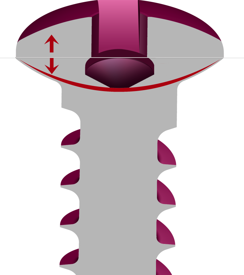 Clip Art - Png Download (793x894), Png Download