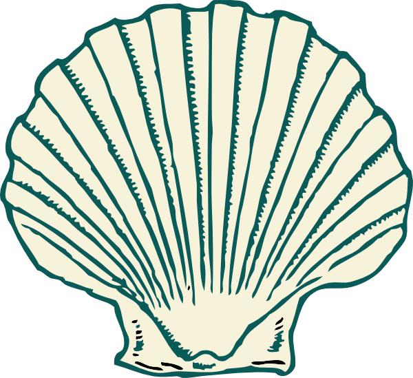 Seashell Clip Art - Png Download (600x549), Png Download