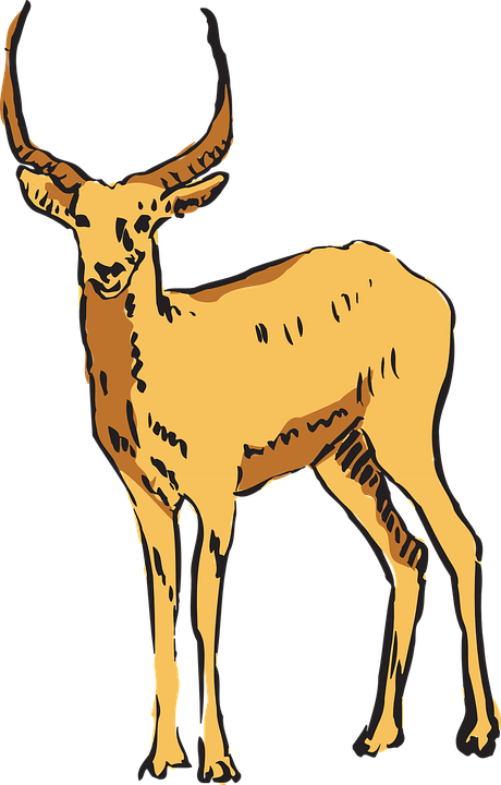 Antelope Clipart Transparent - Antilopa Png (460x720), Png Download