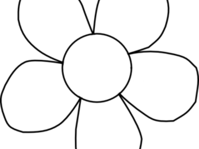 Flower Outline Clipart - Daisy Clipart Free Download - Png Download (640x480), Png Download