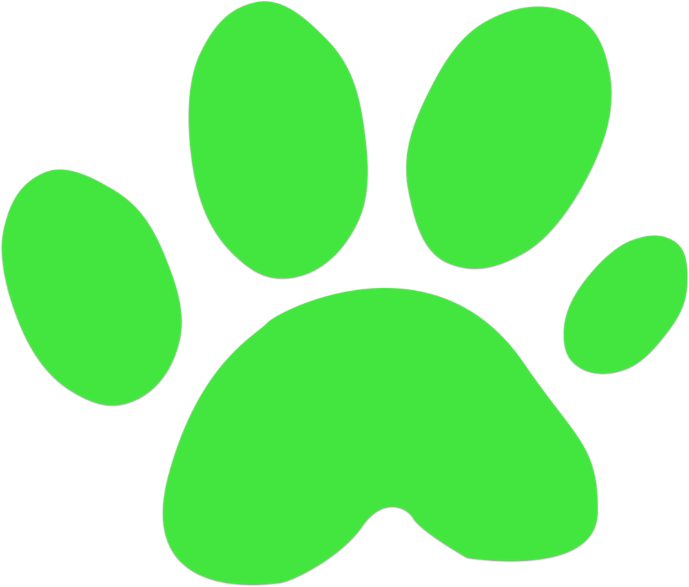 Orange County Dog Photography Clipart (1000x852), Png Download