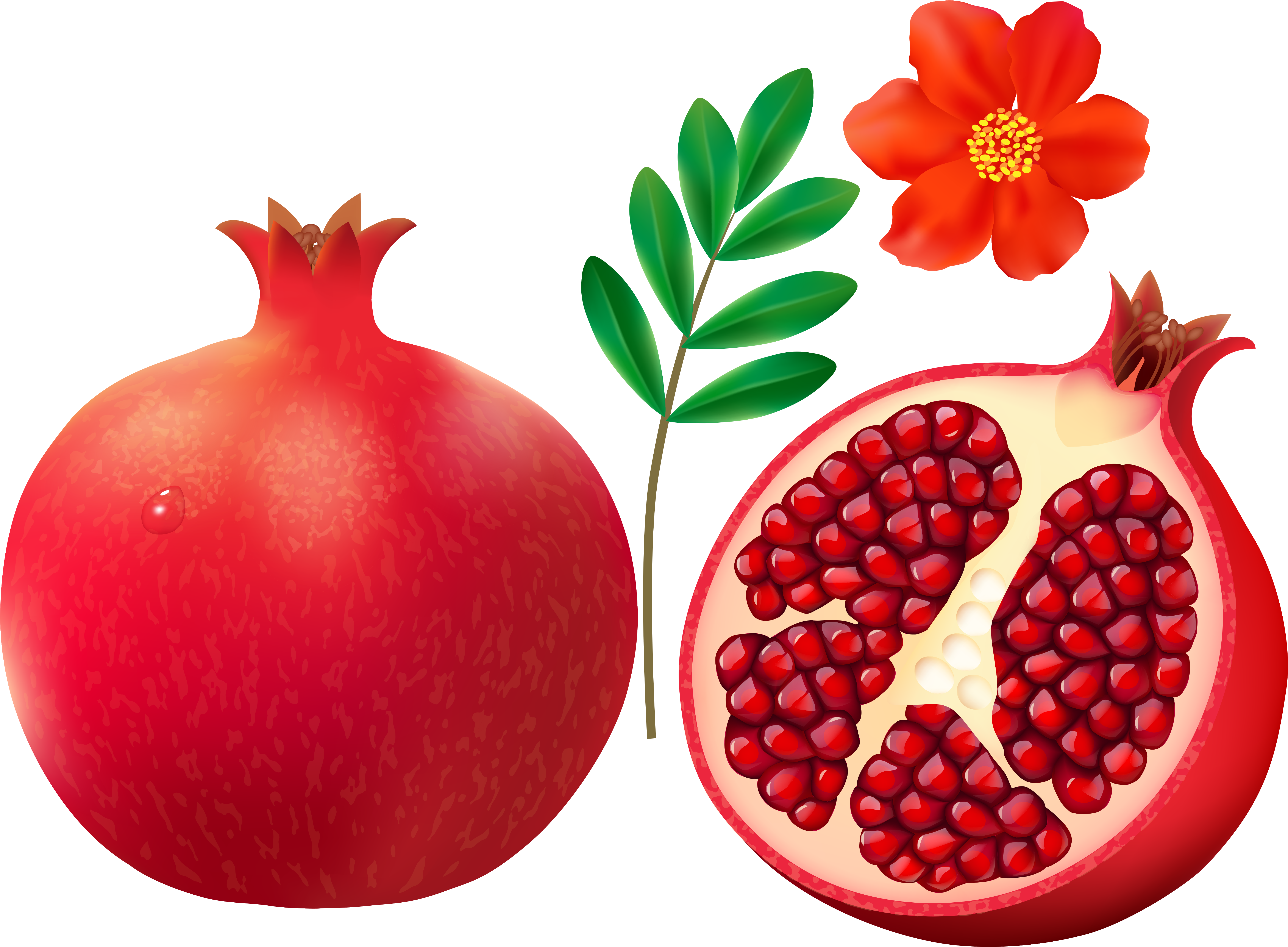 0 126f56 Cdba28f2 Orig - Milani Moisture Lock Oil Infused Lip Treatment Moisturizing Clipart (6000x4403), Png Download
