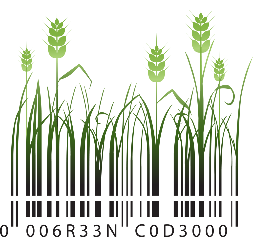 Plant Barcode Clipart (1024x957), Png Download