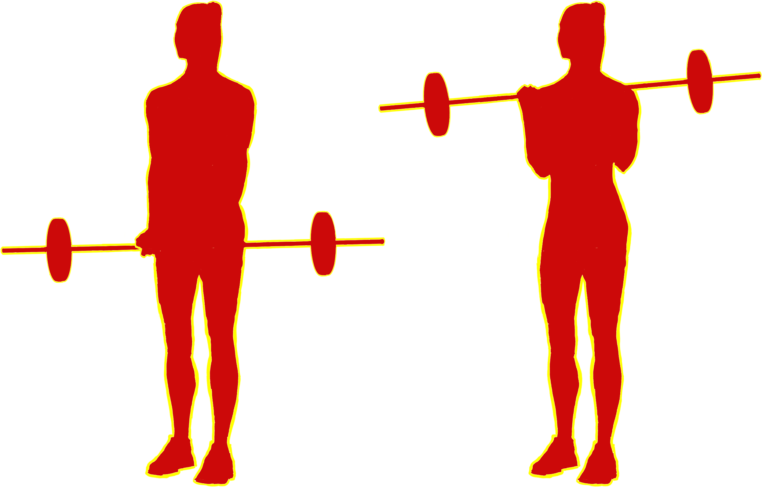 Barbell Or Cable-curls 21s - Bodybuilding Clipart (2700x1800), Png Download