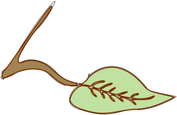 Logo Leaf Line Shoe - Clip Art - Png Download (530x750), Png Download