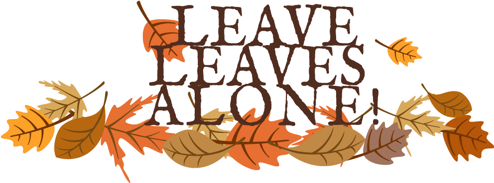 Leave Leaves Alone Logo - Logo Clipart (994x412), Png Download