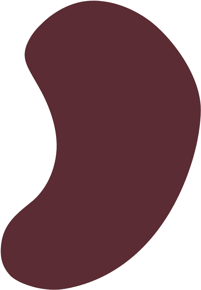 Nush Almond Bg - Illustration Clipart (800x937), Png Download