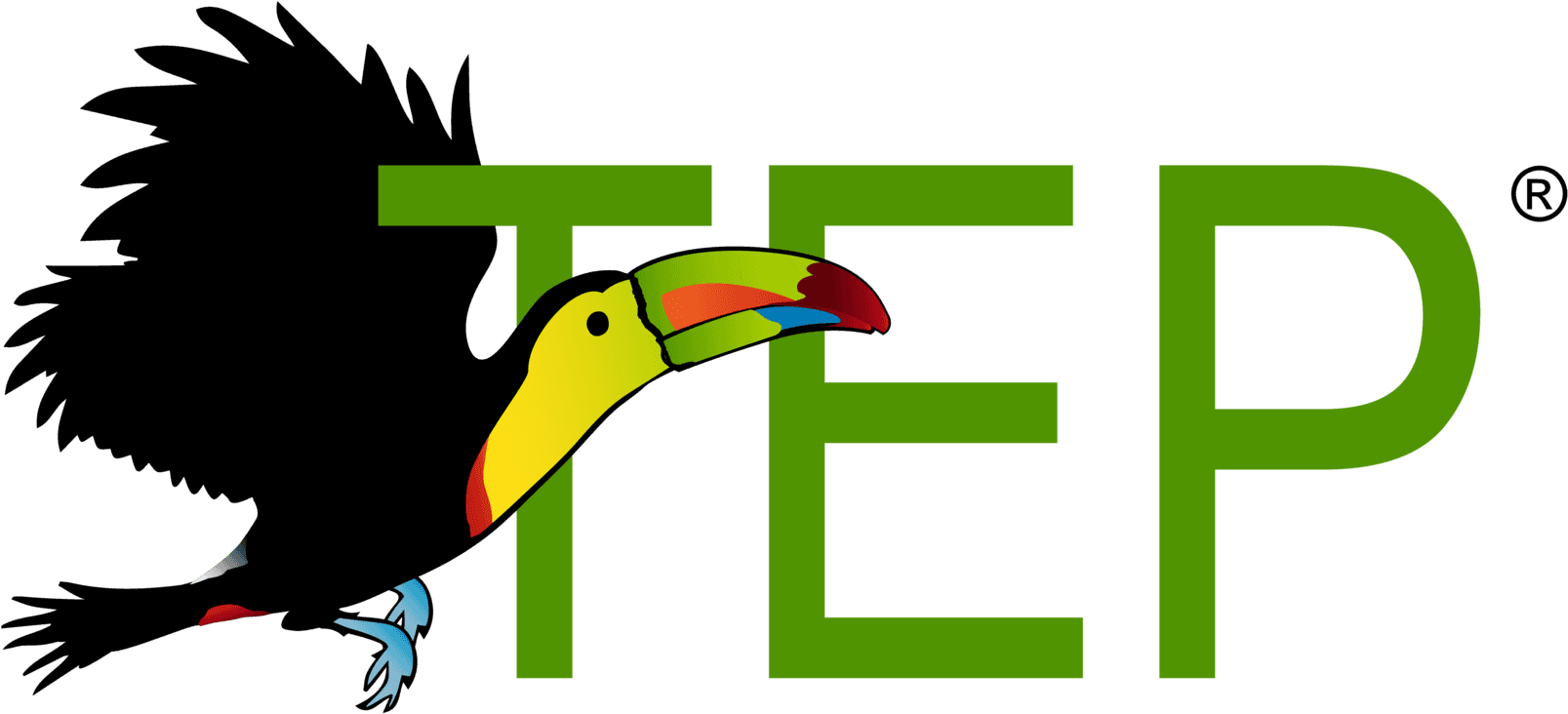 Piciformes Clipart (1920x1008), Png Download