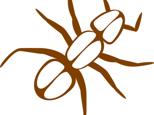Legs Clipart Ant - Ant Clip Art - Png Download (640x480), Png Download