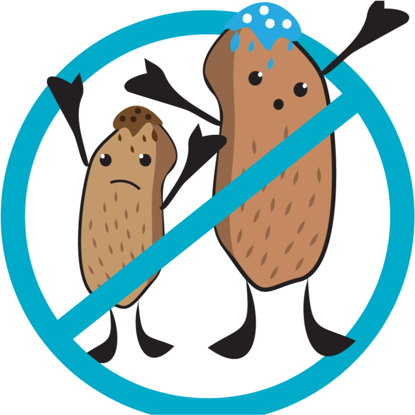 Nut Free Icon Clipart (848x881), Png Download