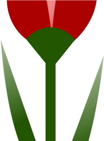 Plants Clipart Simple - Clip Art - Png Download (640x480), Png Download