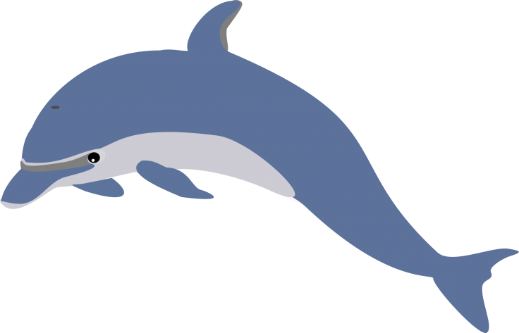 Dolphin Swimmers Will Be Introduced To Breaststroke, - Clip Art - Png Download (736x473), Png Download