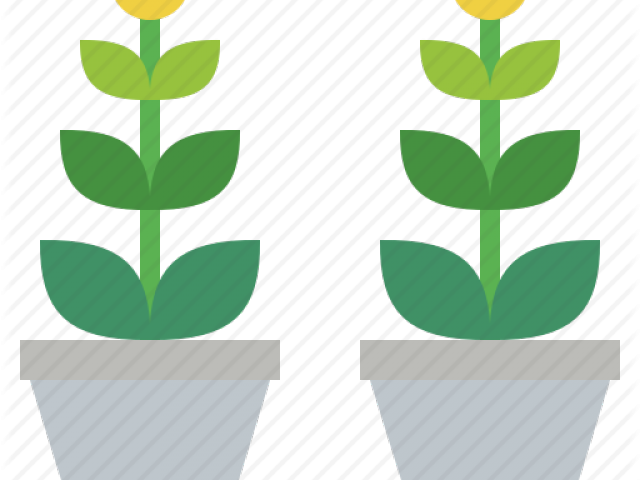 Potted Plants Clipart Ornamental Plant - Ornamental Plant - Png Download (640x480), Png Download