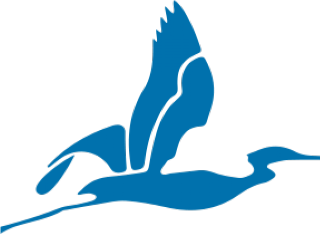 Heron Clipart Transparent - Clip Art - Png Download (640x480), Png Download