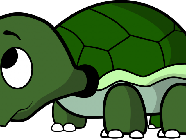 Turtoise Clipart Pawikan - Baby Turtle Ipod Touch 6 Case - Png Download (640x480), Png Download