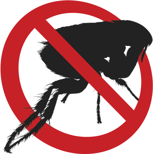 How To Get Rid Of Fleas - Anti Flea Png Clipart (574x567), Png Download