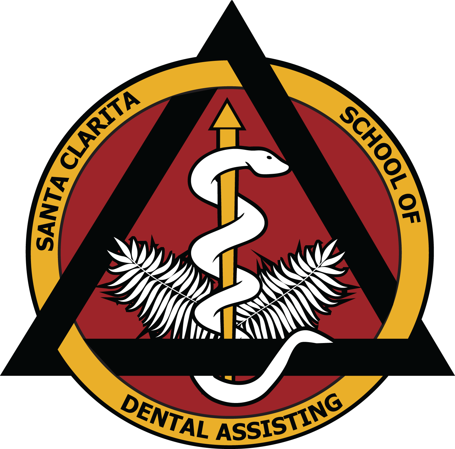 Course Work Assistance - Santa Clarita School Of Dental Assisting Clipart (1000x989), Png Download