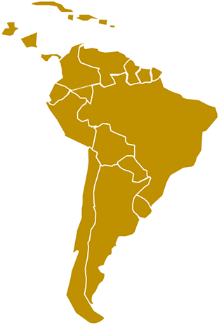 South America Malaria 2017 Clipart (600x529), Png Download