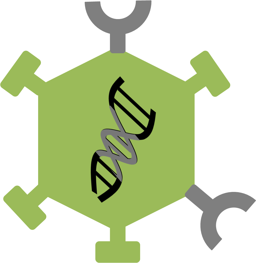 Caps#modified Oncolytic Virus - Genetically Modified Virus Clipart (1034x1062), Png Download