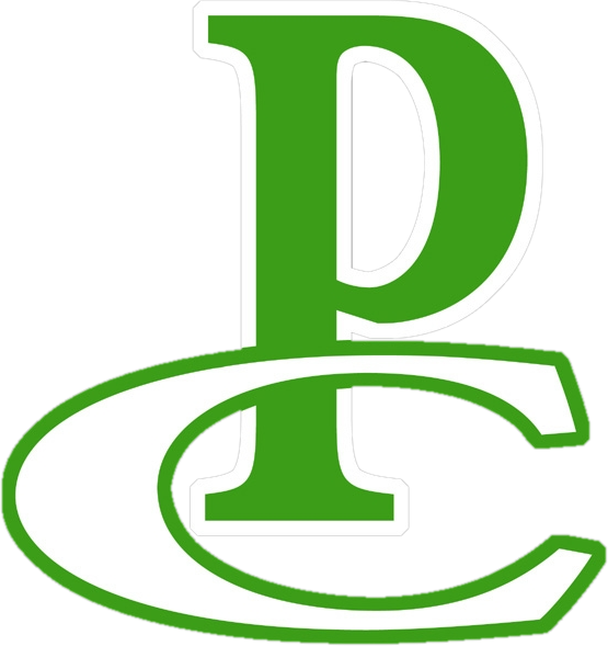 Pierce City Eagles - Pierce City Eagles Logo Clipart (555x589), Png Download