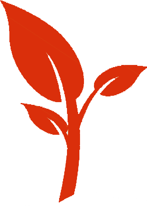 A Playgound For Rose Of Sharon - Nobilla Humac Agro Clipart (506x727), Png Download